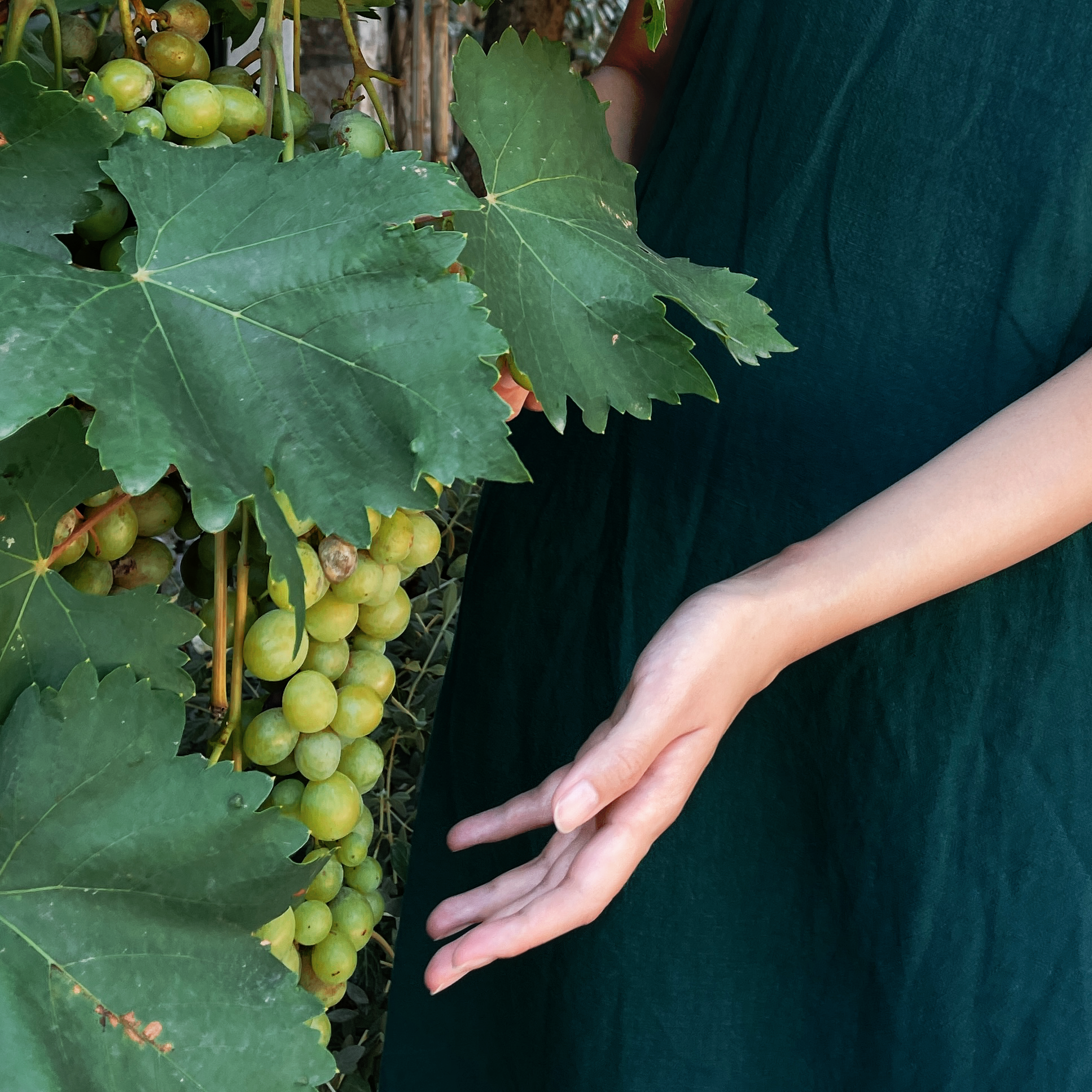 grapes positioned next to a hand, with a green dress in the background